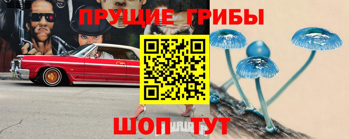 Абакан  Галлюциногенные грибы мицелий  Вход с VPN 