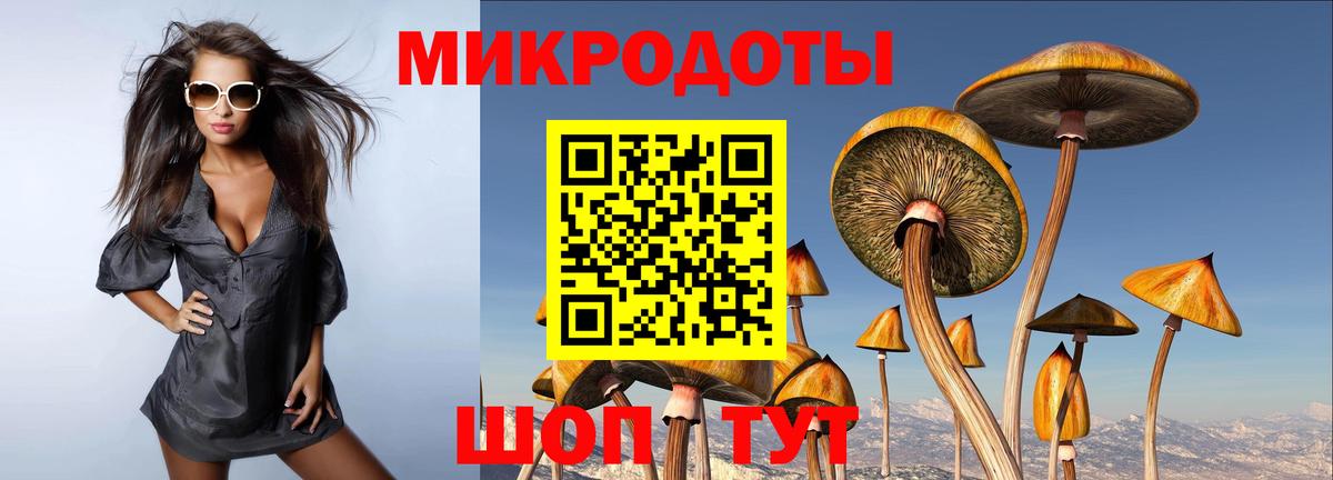 Псилоцибиновые грибы мухоморы Абакан